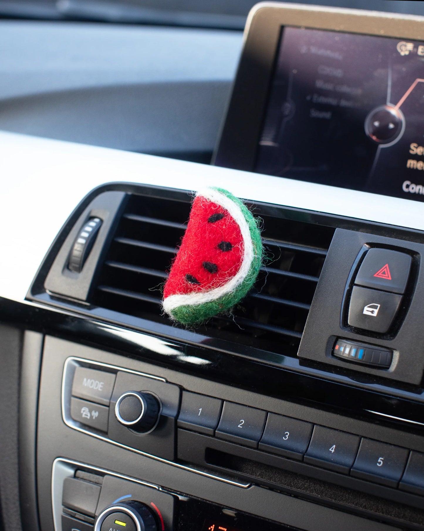 Fruit Car Diffusers