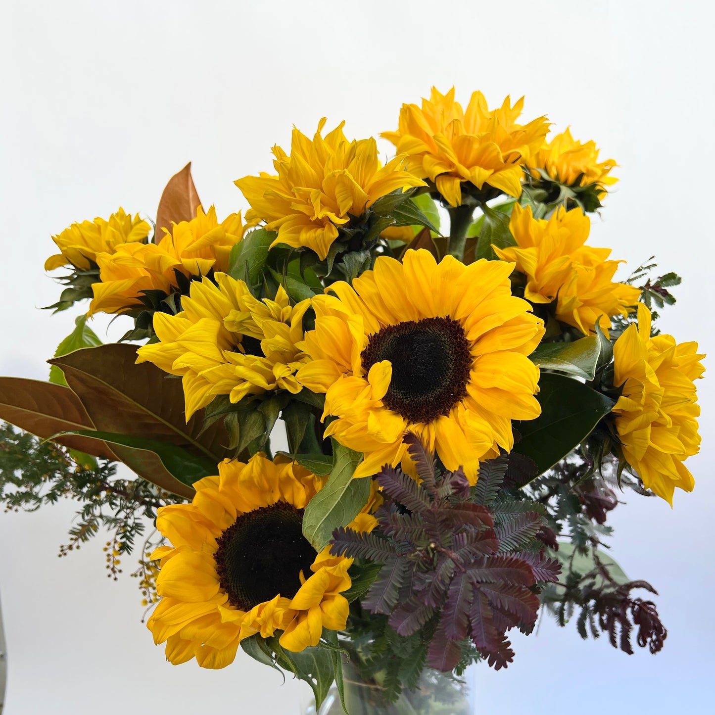 Sunflowers to brighten any occasion! These vibrant yellow beauties are perfect for birthdays, anniversaries, or just a touch of summer indoors. Experience sun-kissed joy with every bouquet.