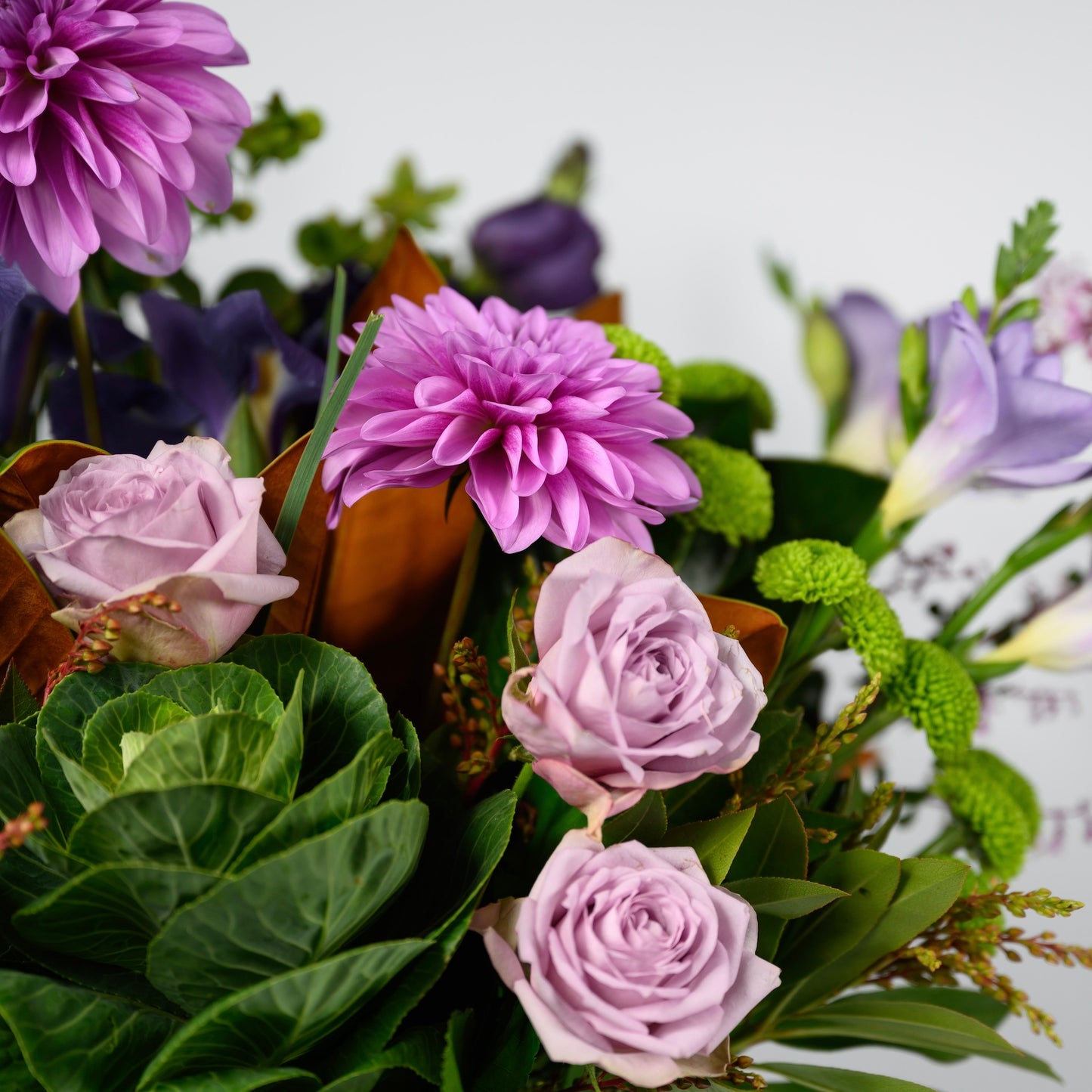 Botanical & Bubble Decadence