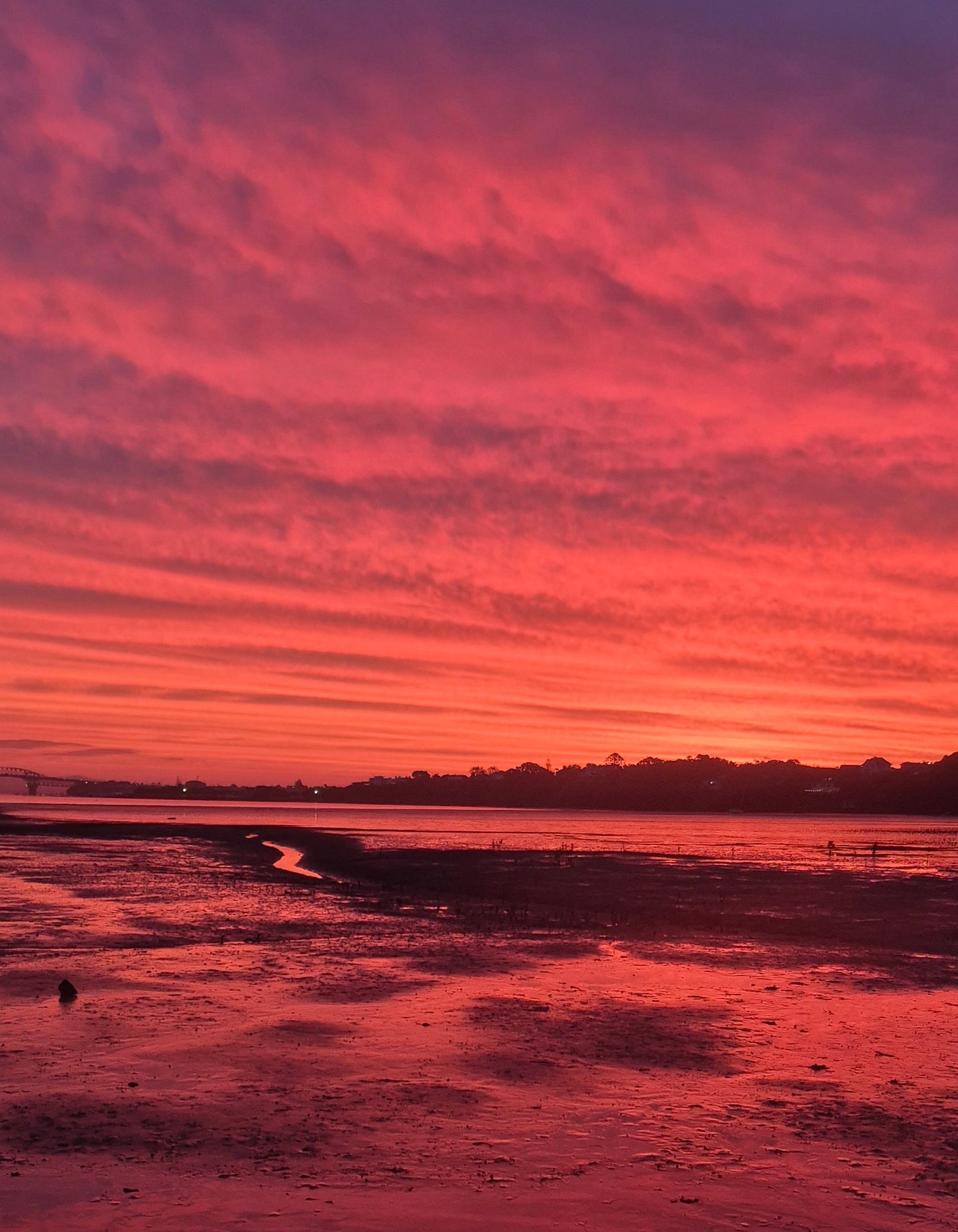 Coastal Sunset