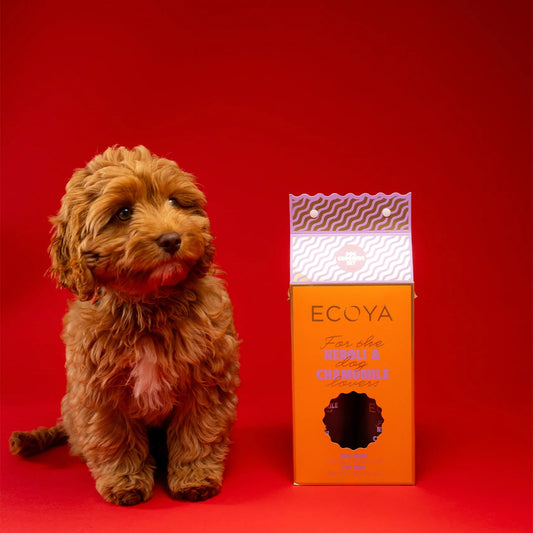 Ecoya Holiday: Dog Grooming Set