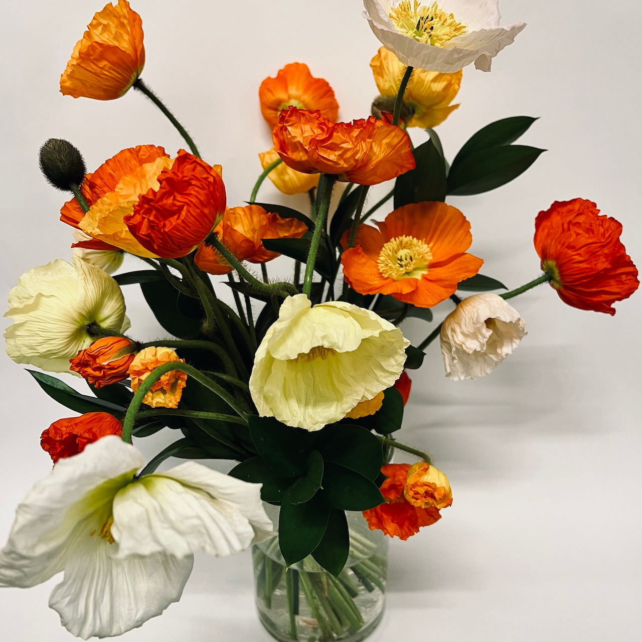 A vibrant bouquet of Wild Poppies