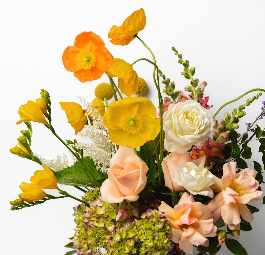 Beautiful Flowers & Gifts Auckland Wide Delivery Devonport Flowers