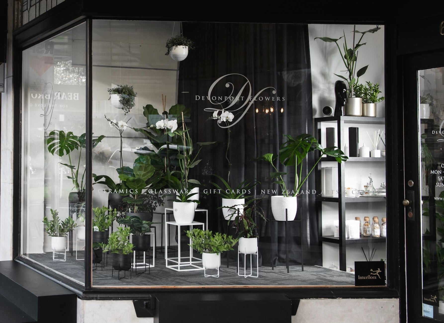 Beautiful Flowers & Gifts Auckland Wide Delivery Devonport Flowers