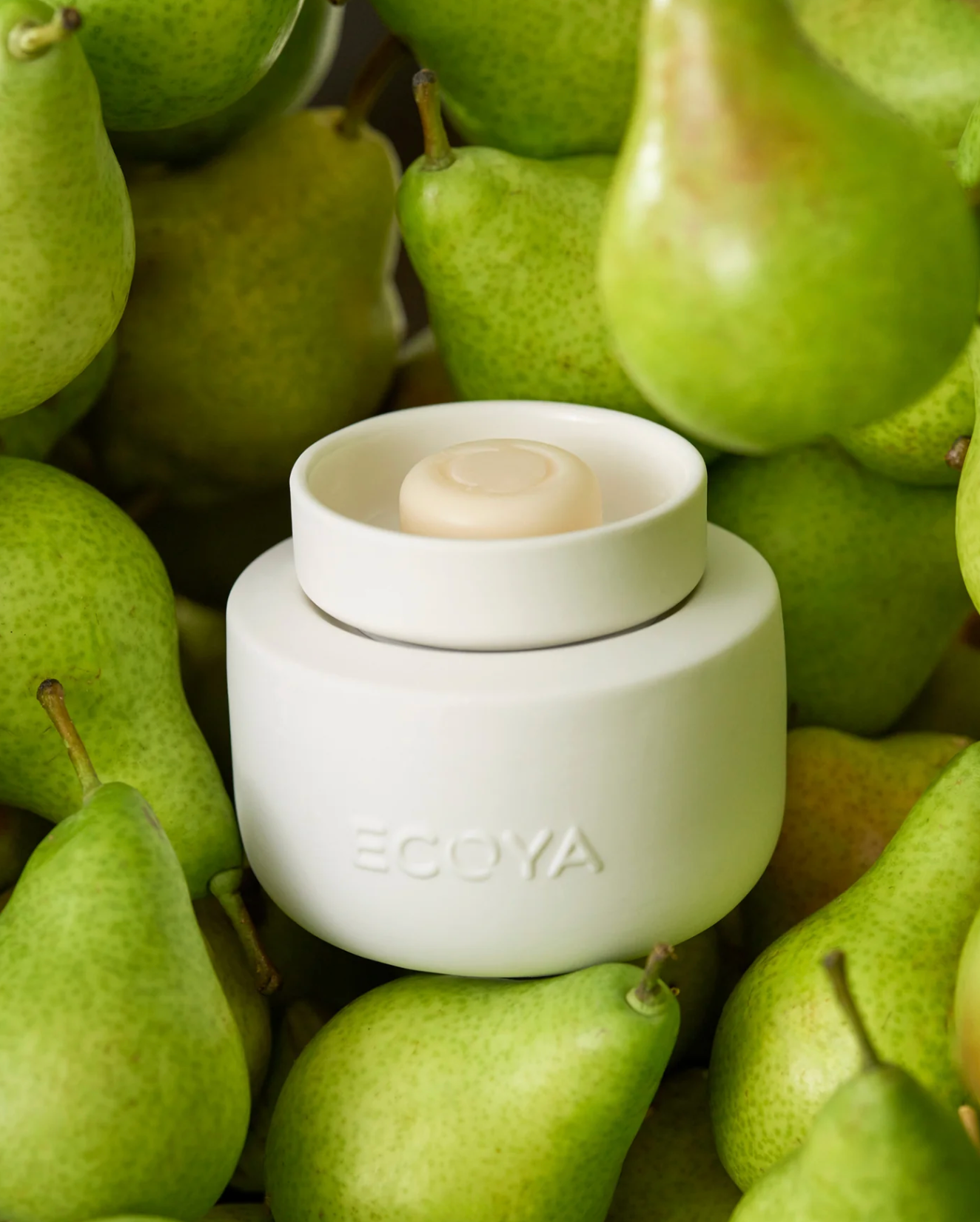 ECOYA Electric Wax Melter