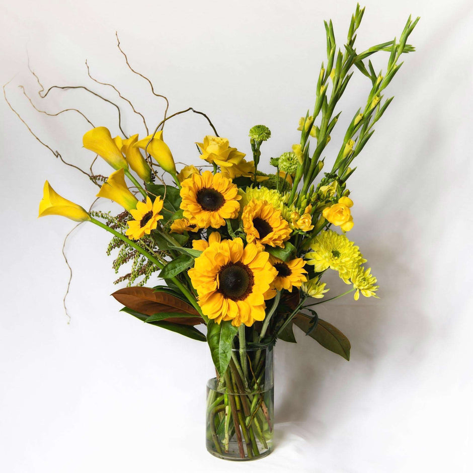 Beautiful Flowers & Gifts Auckland Wide Delivery Devonport Flowers