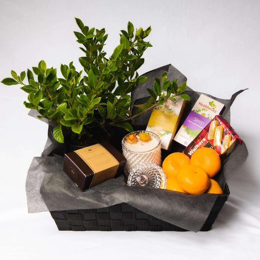 Auckland Hospital Flowers Devonport Flowers Devonport Flowers (2024