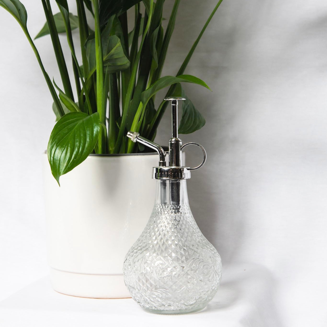 Plant Water Spritzer